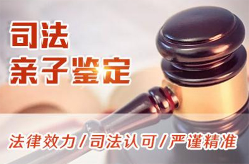 邵阳司法亲子鉴定如何办理,邵阳司法亲子鉴定价格收费