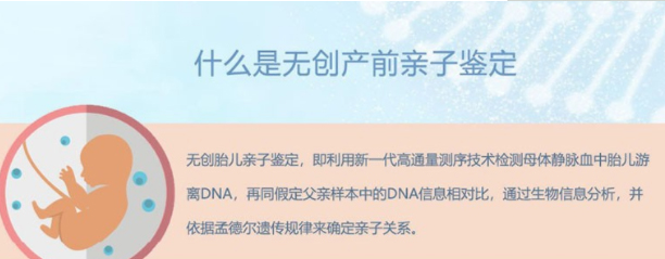 怀孕期间邵阳怎么做胎儿亲子鉴定,在邵阳怀孕期间做亲子鉴定准确吗